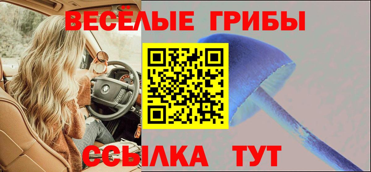 Галлюциногенные грибы MAGIC MUSHROOMS  Вход с VPN  Минеральные Воды 