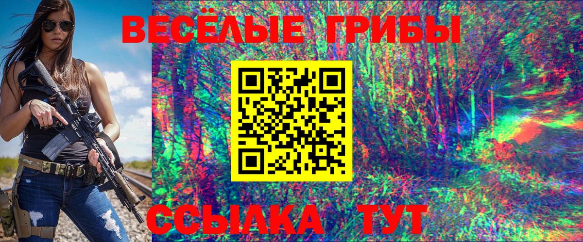 Галлюциногенные грибы мицелий Минеральные Воды
